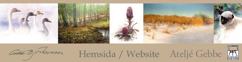 V�lkommen / Enter here