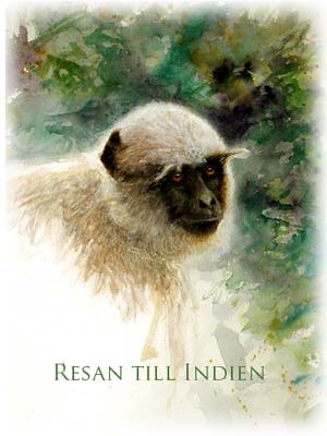 Bildspel om Indien av Gebbe Björkman