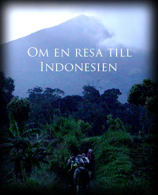 Bildspel - en resa till Indonesien - av Gebbe Bjrkman