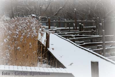 Bryggor med sn, Stngn - foto Gebbe Bjrkman