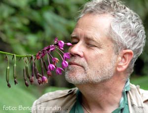 Gebbe doftar p� blommorna. foto Bengt Grandin