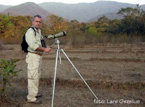 Gebbe i Indien.  foto Lars Gezelius