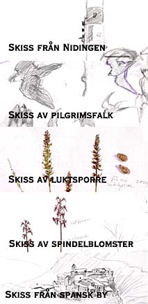 Klicka p� sm�bilderna till st�rre format